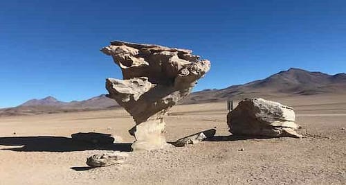 Rock tree - Bolivia Salar de Uyuni - Rock tree