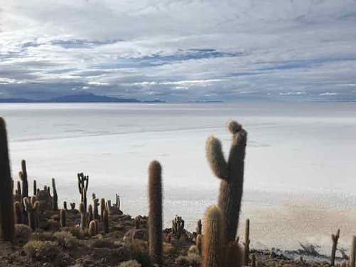 Some trick photography! Salar de Uyuni - Fish Island