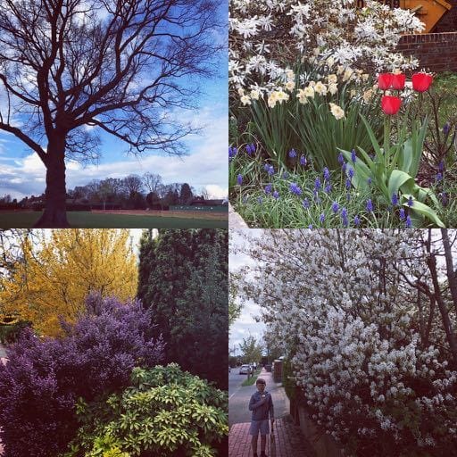 London in Spring