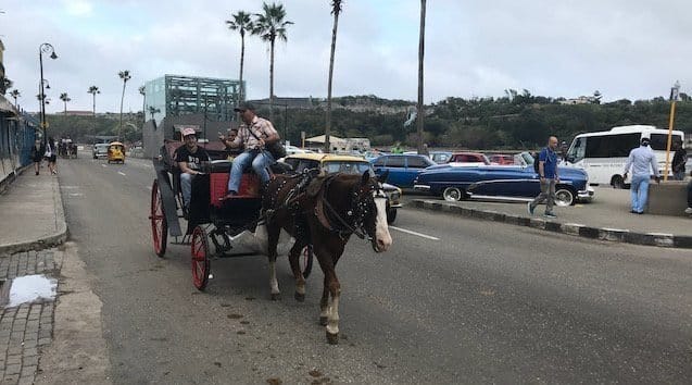 Havana Horse Cart Havana Cuba - Horse Cart