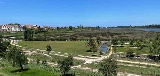 Vagos - Move to Portugal Move to Portugal - Vagos